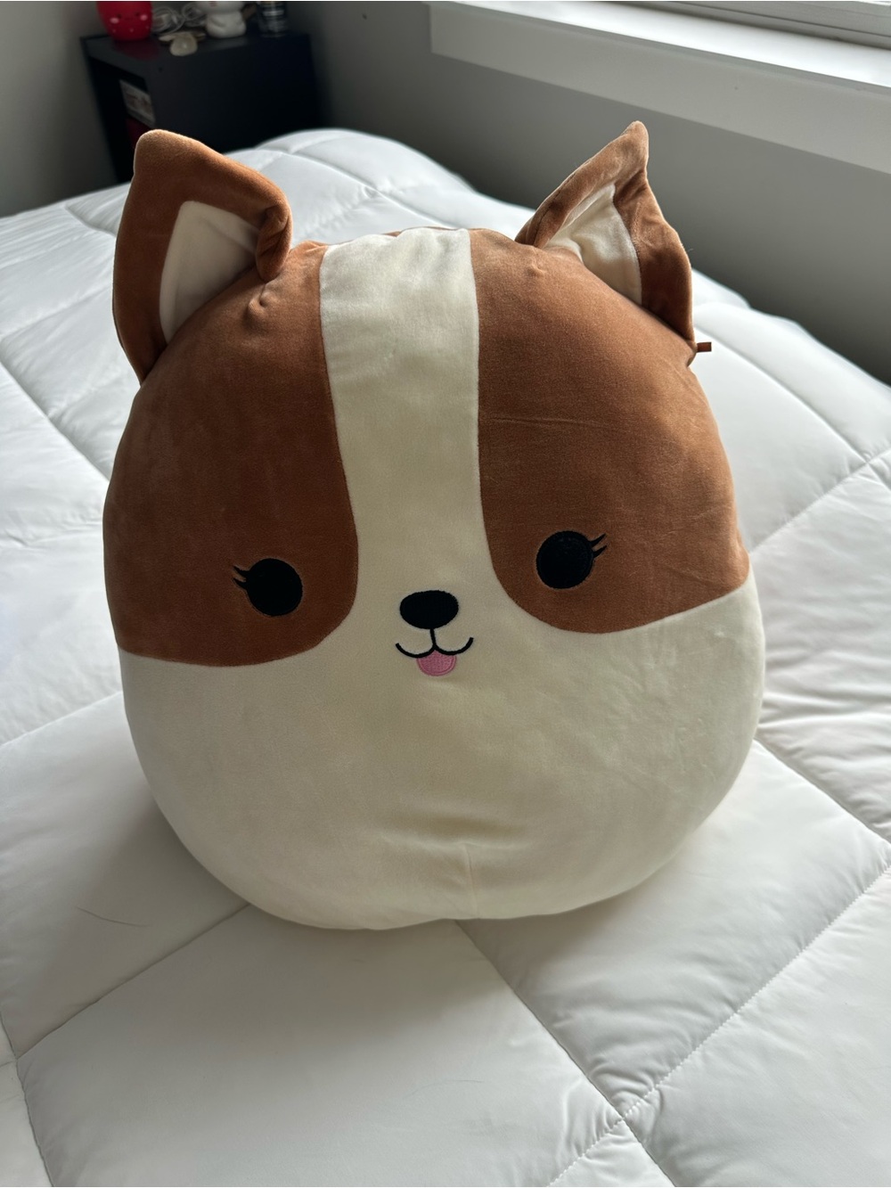 Large Corgi Squishmallow with rainbow tail